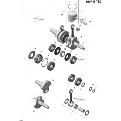 Crankshaft And Pistons - 800R E-Tec