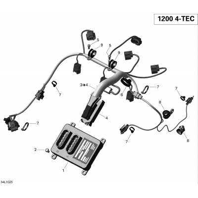 10- Engine Harness And Electronic Module
