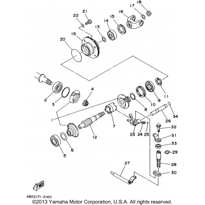 Middle Drive Gear