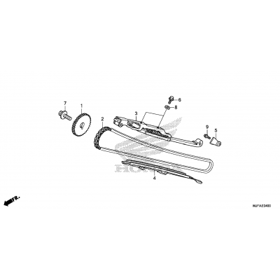 CAM CHAIN / TENSIONER