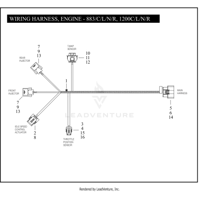 WIRING HARNESS, ENGINE - 883/C/L/N/R, 1200C/L/N/R