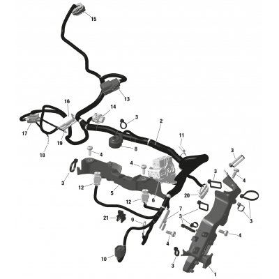 01- ROTAX - Engine Harness And Electronic Module