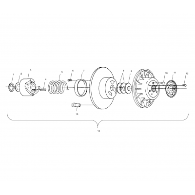 Driven Clutch