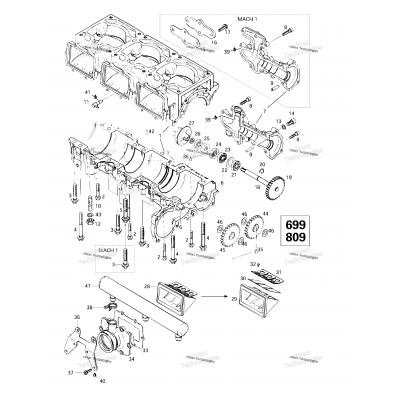 Crankcase, Reed Valve, Water Pump (699,809)