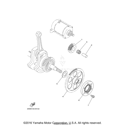 STARTER CLUTCH