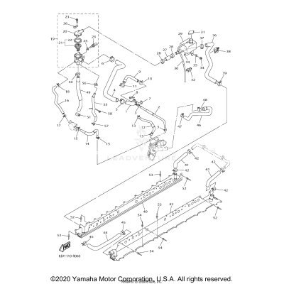 RADIATOR HOSE