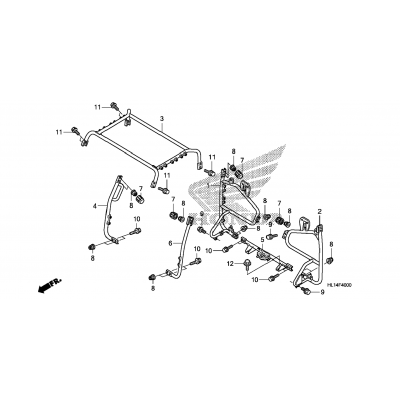 ROLL BAR