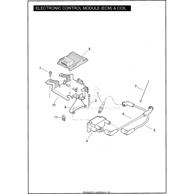 ELECTRONIC CONTROL MODULE (ECM) & COIL