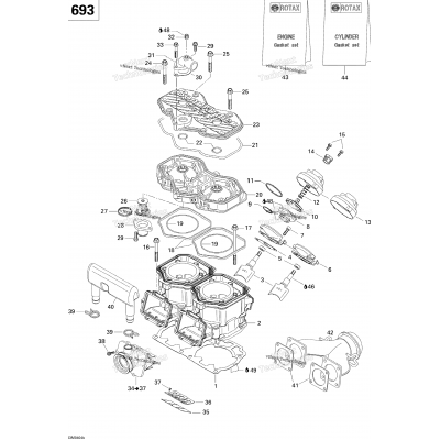 Cylinder, Exhaust Manifold, Reed Valve (693)