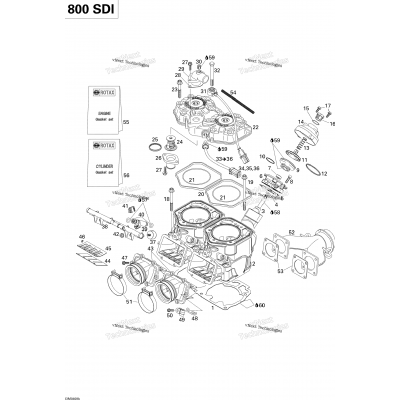 Cylinder, Exhaust Manifold, Reed Valve (800)