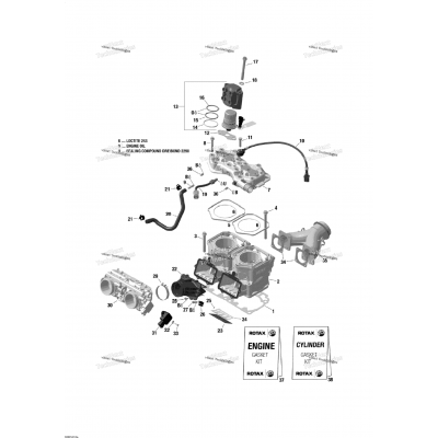 Cylinder And Cylinder Head - 600 E-Tec