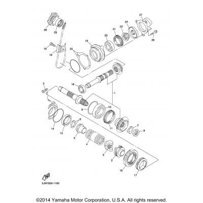 Middle Drive Gear