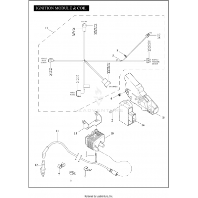 IGNITION MODULE & COIL