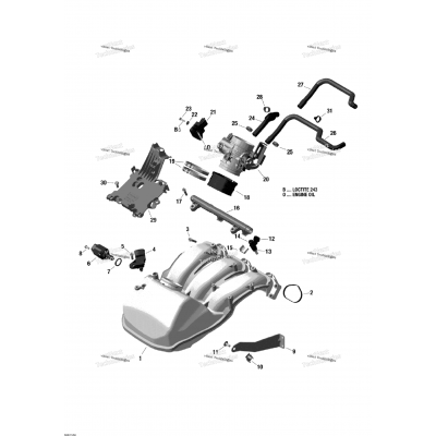 Air Intake Manifold And Throttle Body