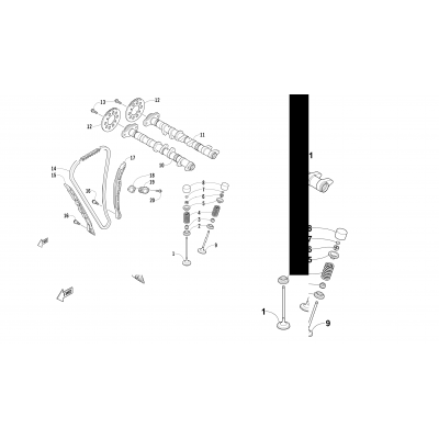 CAMSHAFT, CHAIN, AND VALVE ASSEMBLY