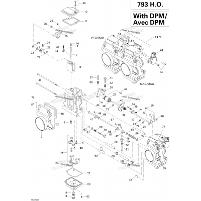 Carburetor With Dpm