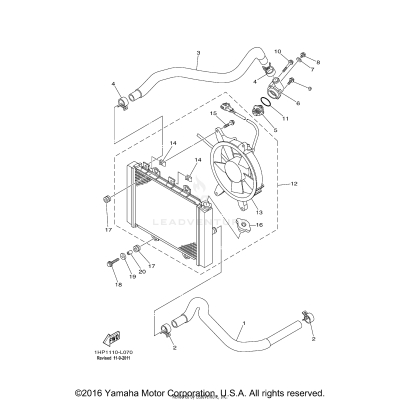 RADIATOR HOSE