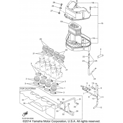 Intake