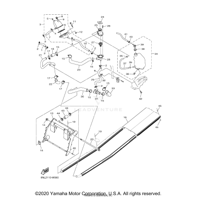 RADIATOR & HOSE