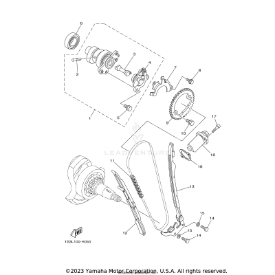 CAMSHAFT & CHAIN
