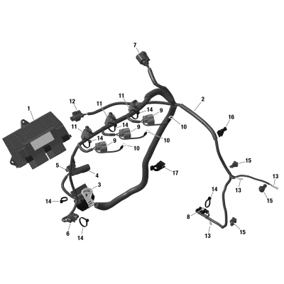 10- Electrical - Engine Harness / Electronic Module - 900 ACE