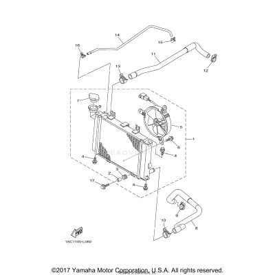 RADIATOR HOSE
