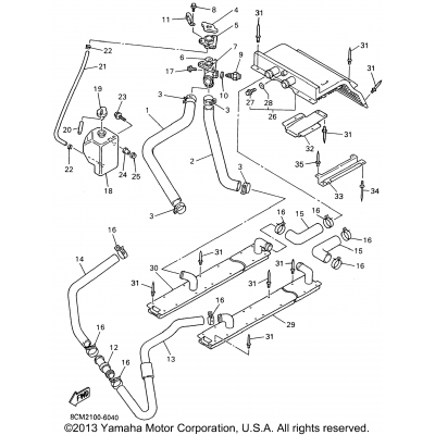 Radiator - Hose