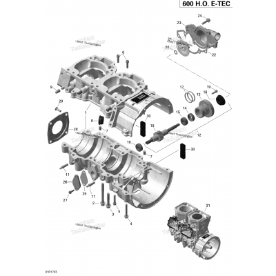 Engine - Crankcase And Water Pump - 600Ho E-Tec