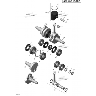 Engine - Crankshaft And Pistons - 600Ho E-Tec
