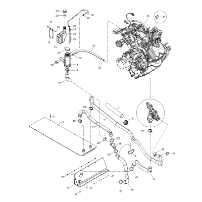 01- Radiator, Hoses