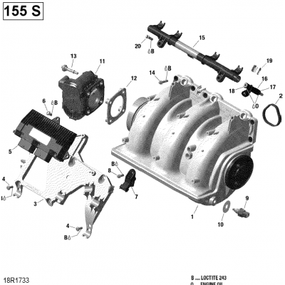 Air Intake Manifold And Throttle Body - 155 Model With Suspension