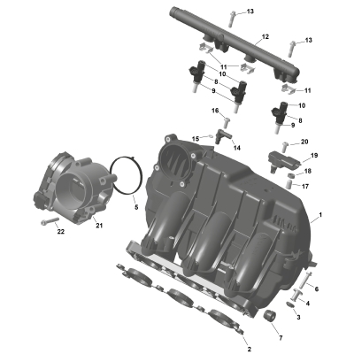 01- ROTAX - Air Intake Manifold And Throttle Body
