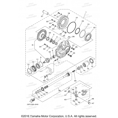 Drive Shaft