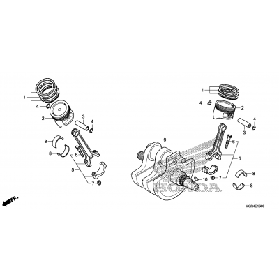 CRANKSHAFT / PISTON