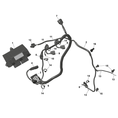 01- ROTAX - Engine Harness And Electronic Module