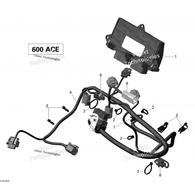 Engine Harness And Electronic Module - 600 Ace