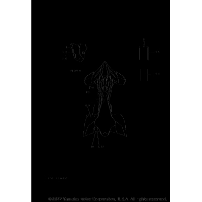 EMBLEM LABEL 1