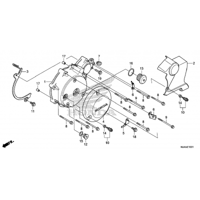 LEFT CRANKCASE COVER (2)