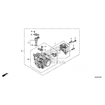 THROTTLE BODY