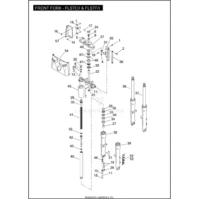 FRONT FORK - FLSTC/I & FLSTF/I