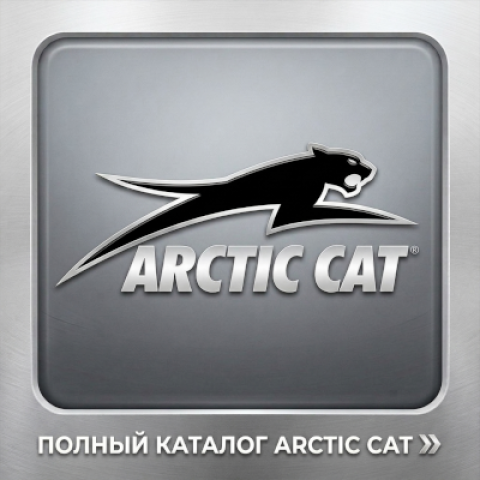 Arctic Cat